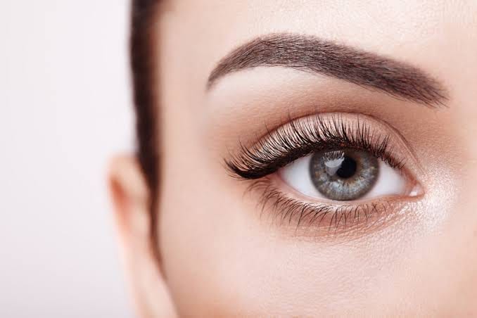 Lashes & Brows